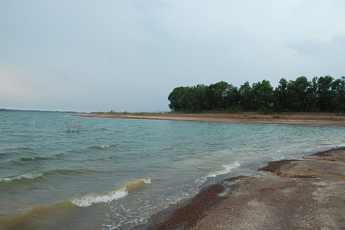 7102154201_72c71fabc0.jpg
