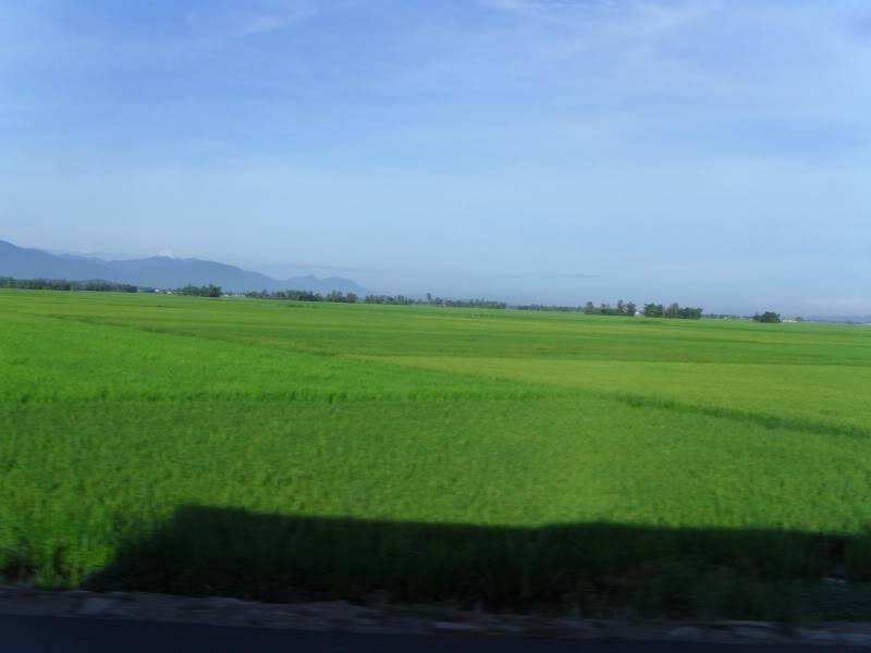 SDC14120.jpg