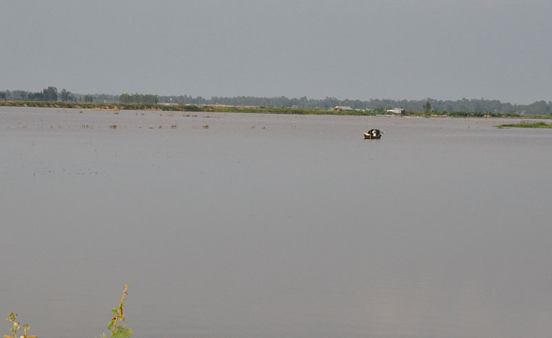 DSC_5719.jpg