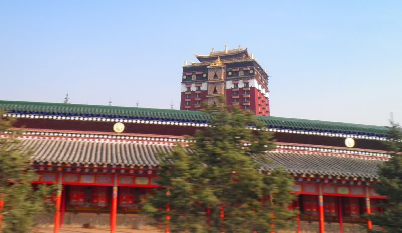 P4160401-1.jpg