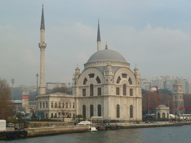 L1020669.jpg