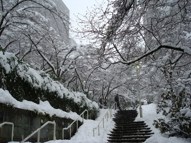 DSC07054.jpg