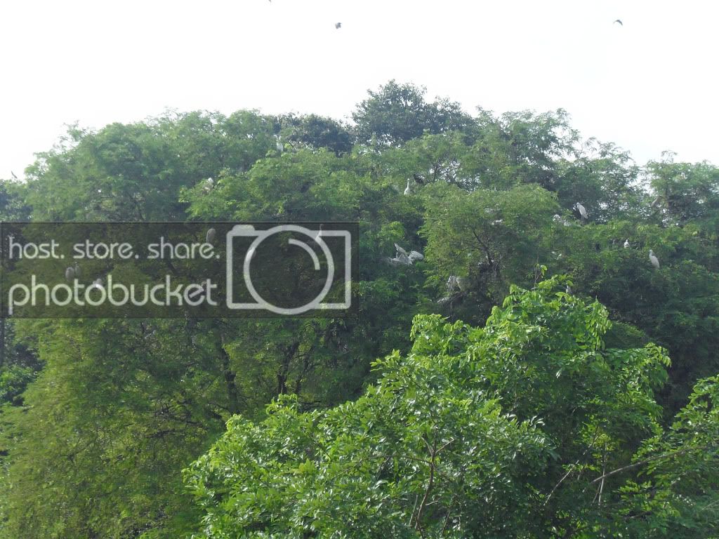 SDC10391.jpg