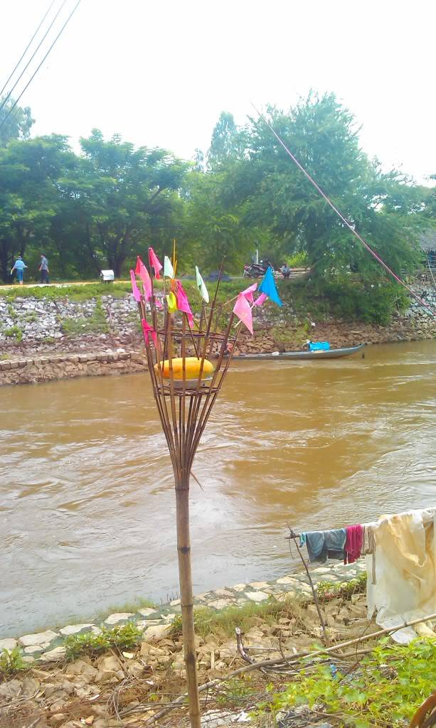 IMAG0034.jpg