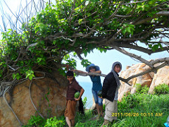 5909200234_c541674ab6_m.jpg