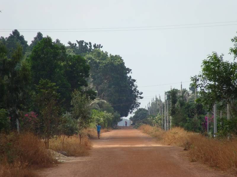 DSC07594.jpg