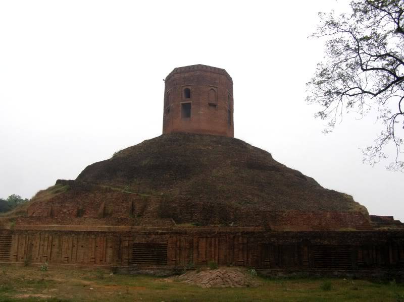 PB190969.jpg