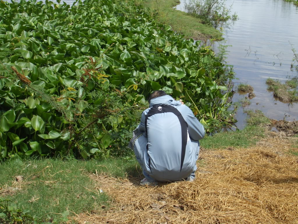 DSCF2671.jpg