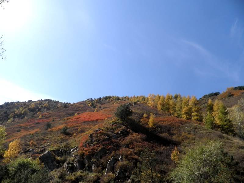PA141322.jpg