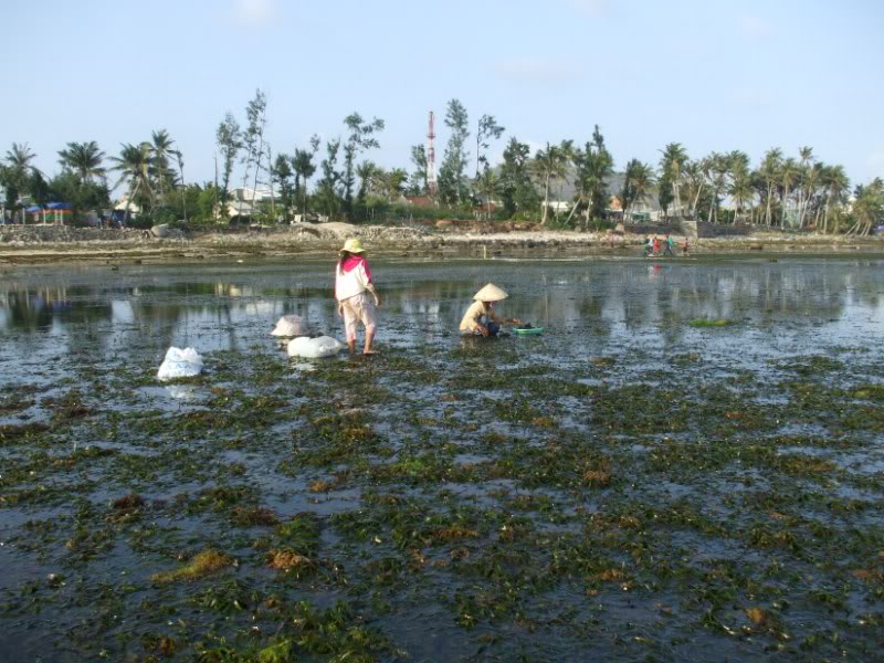 DSCF7080.jpg