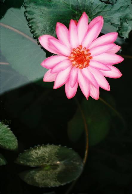 000053-1.jpg
