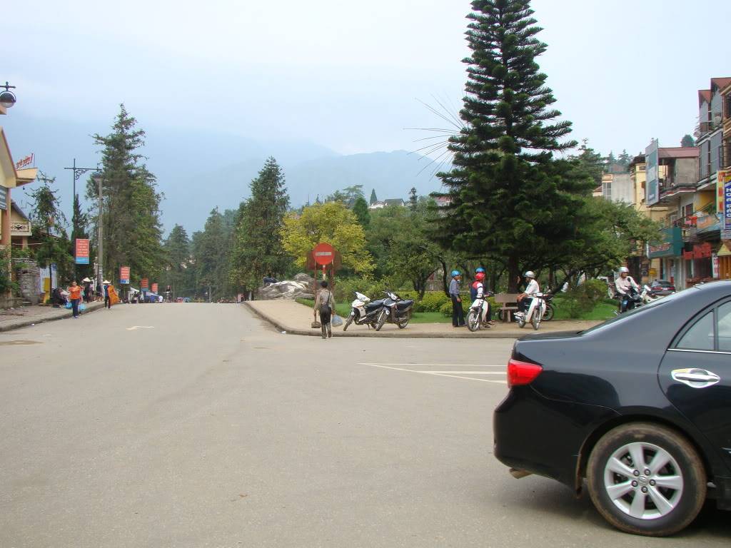 DSC09374-1.jpg