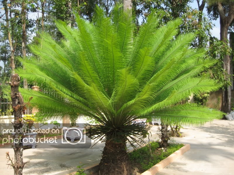 DongThapTET2011073.jpg