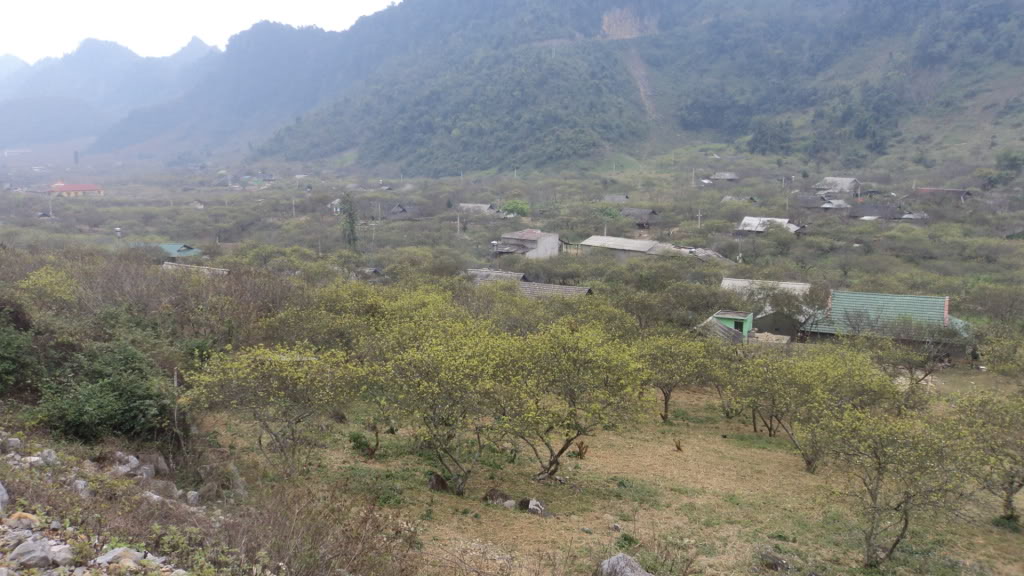 DSC00314.jpg