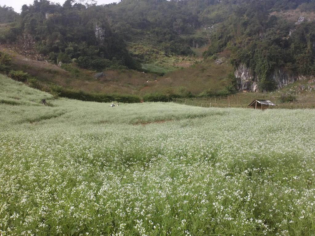 CAM00563.jpg