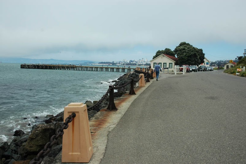 SF019a.jpg