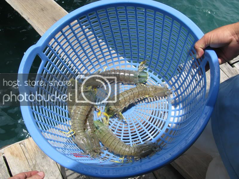 PhuQuoc09_533.jpg