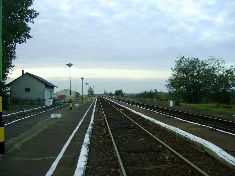 DSC06629.jpg