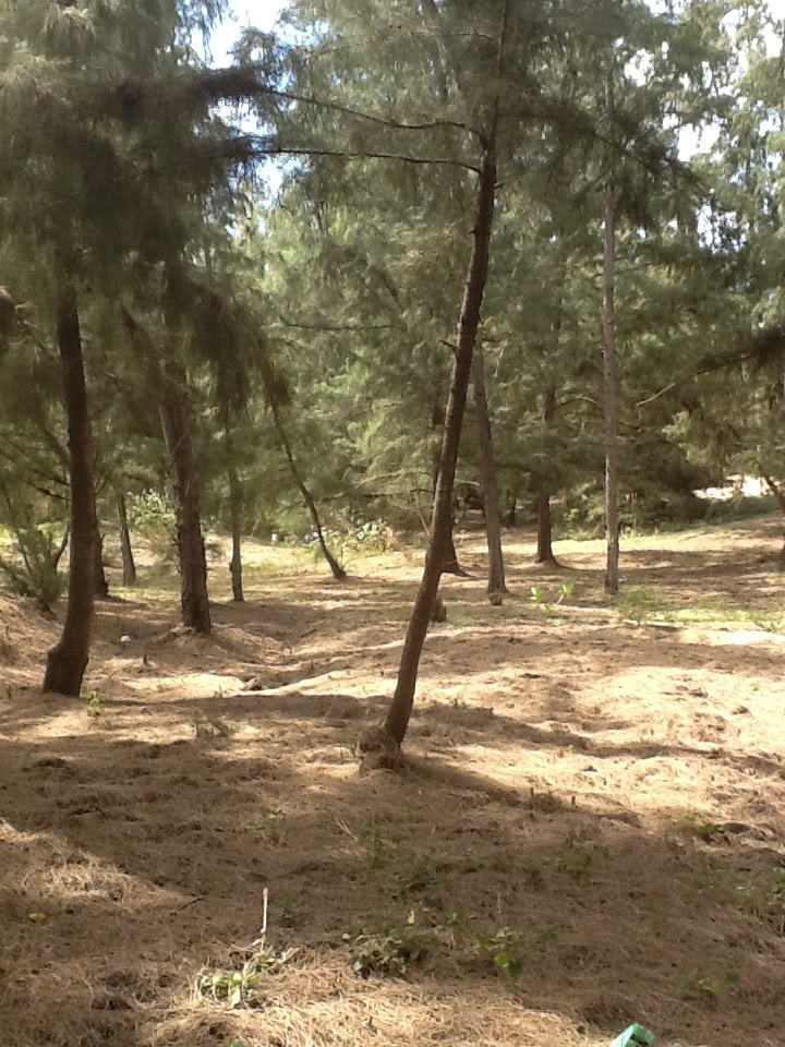 1c05baaf.jpg