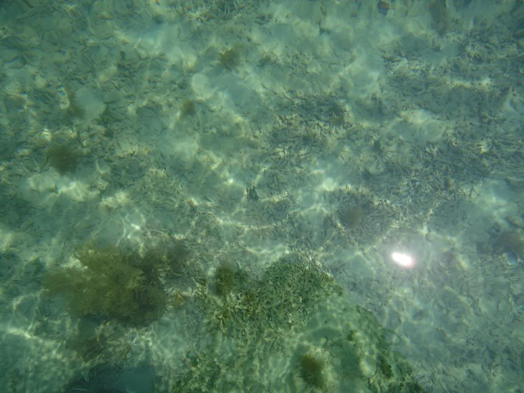 53_zps24914491.jpg