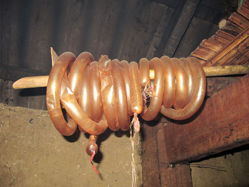 HongNgai2011620.jpg