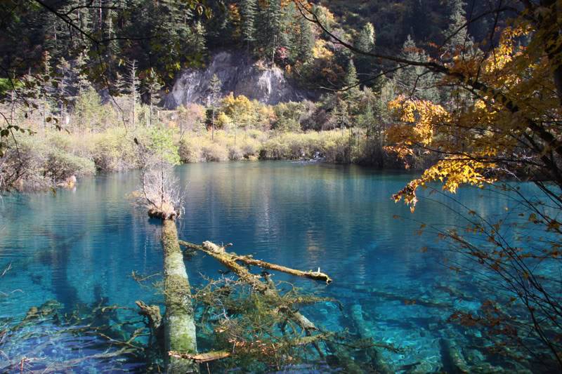 chuongvang3-toan.jpg