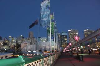 IMG_8204.jpg