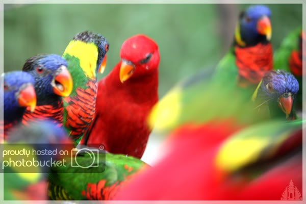 birdpark47.jpg