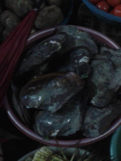 2012-10-28070517.jpg