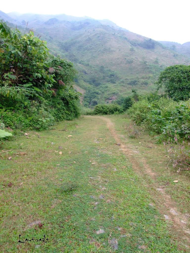 DSCF3146.jpg