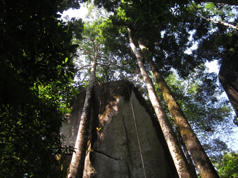 1321_zps820c96f5.jpg