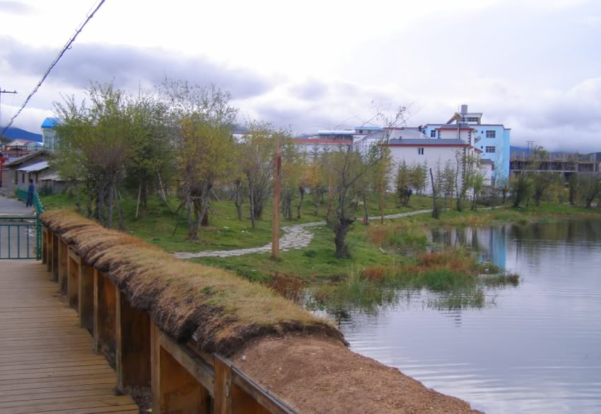 PA030266-1.jpg