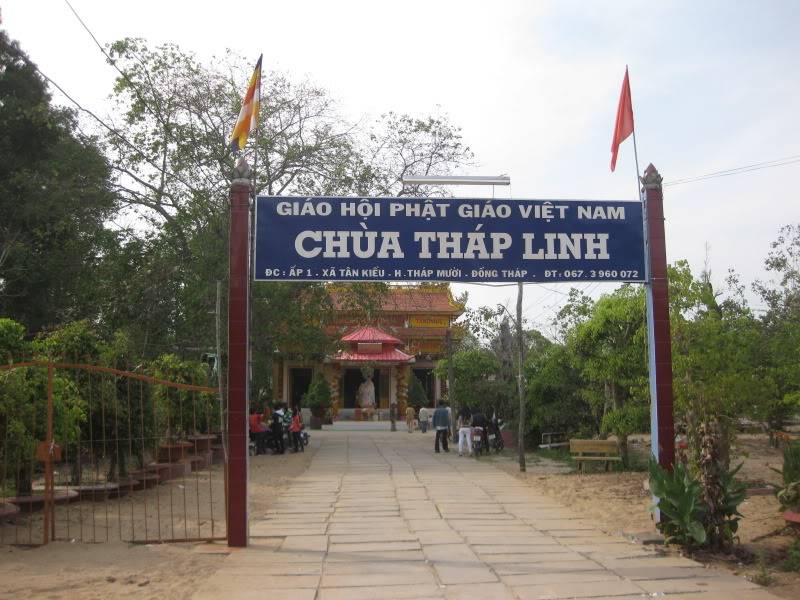 DongThapTET2011462.jpg