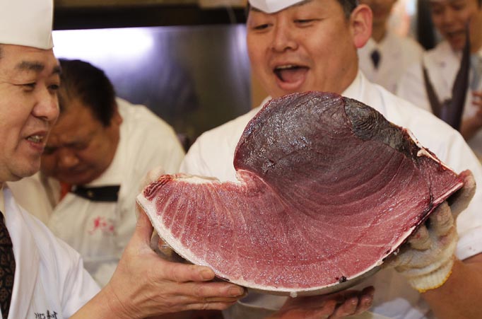 Tuna1_682_1433276a.jpg