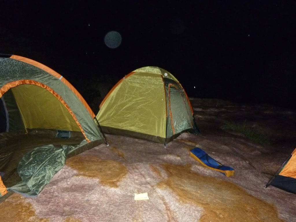 P1010655.jpg