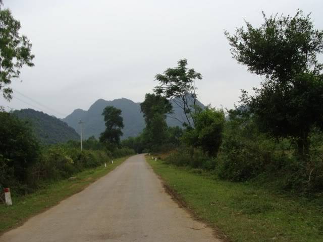 DSC08815.jpg