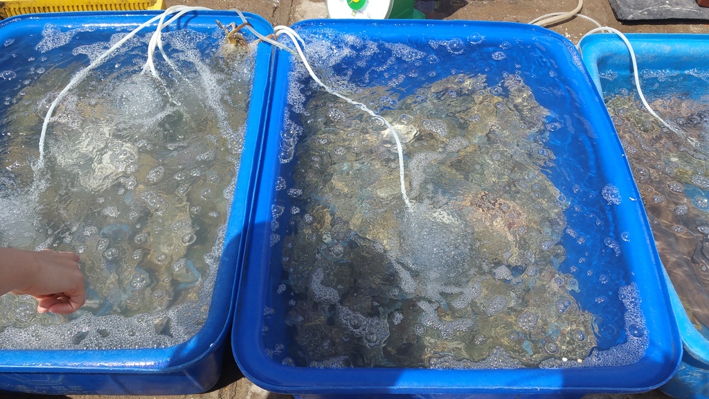 20150716_101935_zpsewmukyzb.jpg