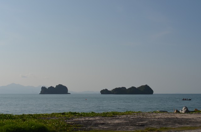 DSC_2594.jpg