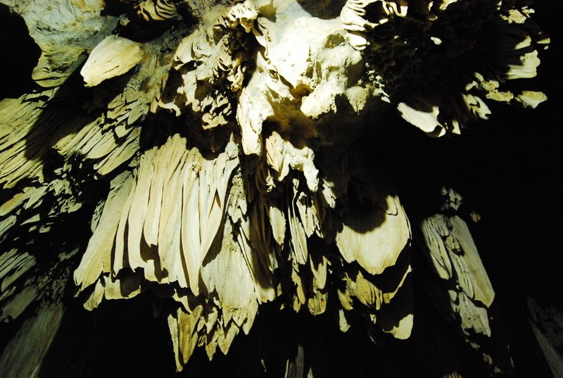 dsc7712u.jpg