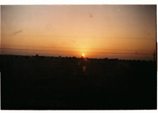 Dl01.jpg