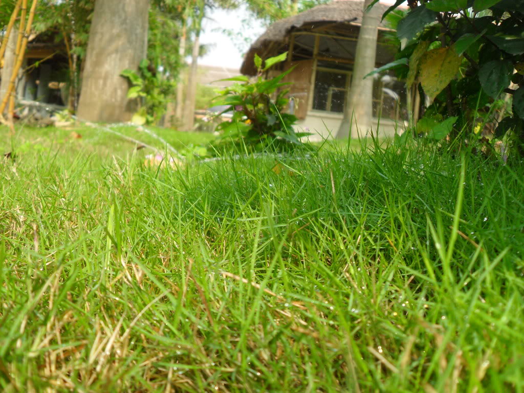 SDC13837.jpg