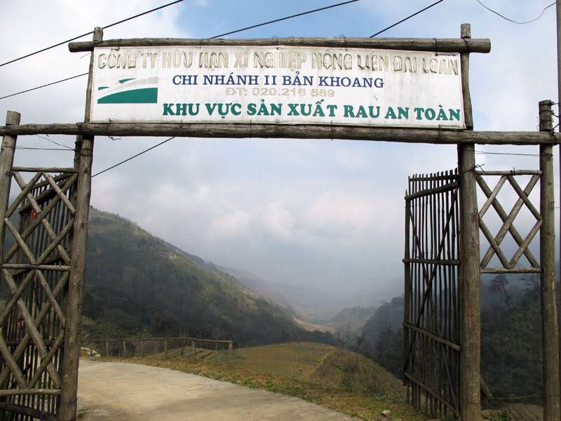 HongNgai2011173.jpg