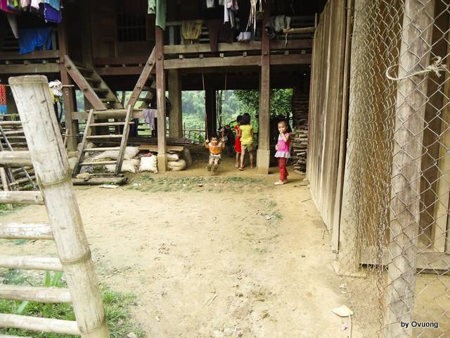 DSC03654.jpg