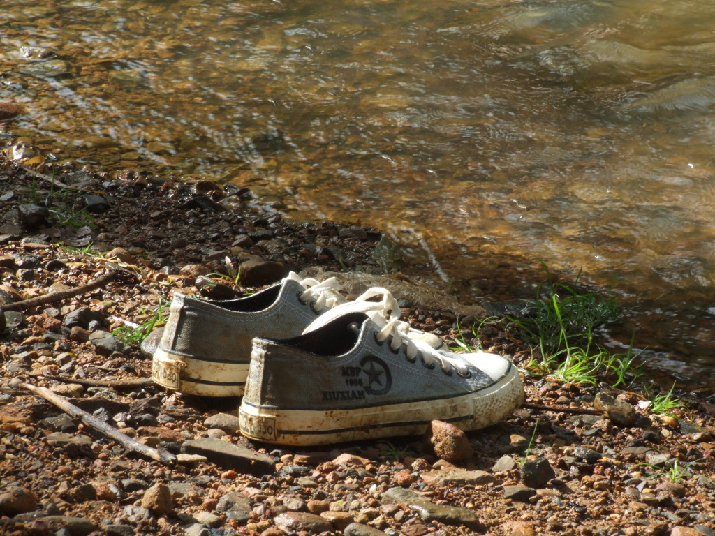 DSCF1722.jpg