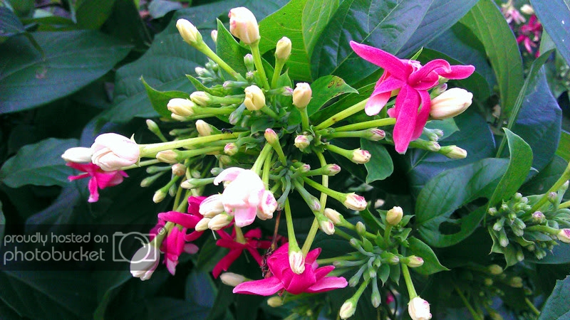 IMAG0843.jpg