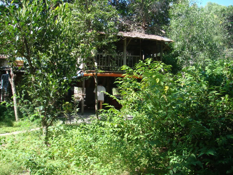 DSC06566.jpg