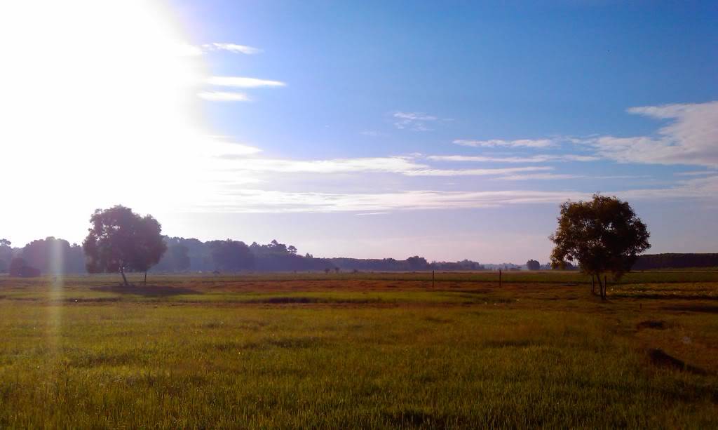 IMAG0575.jpg