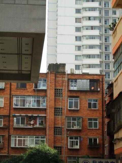 DSCF1682.jpg