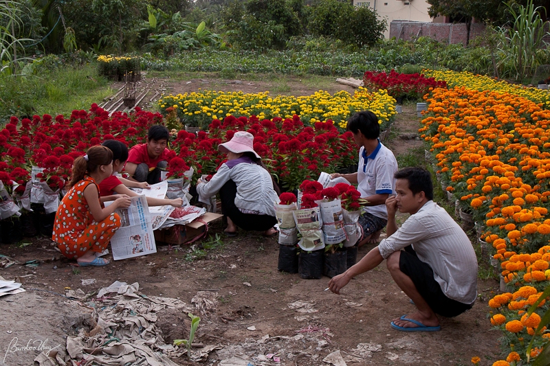 BenTre2-7448.jpg