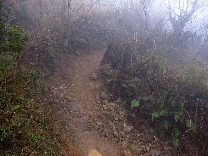 HongNgai2011475.jpg